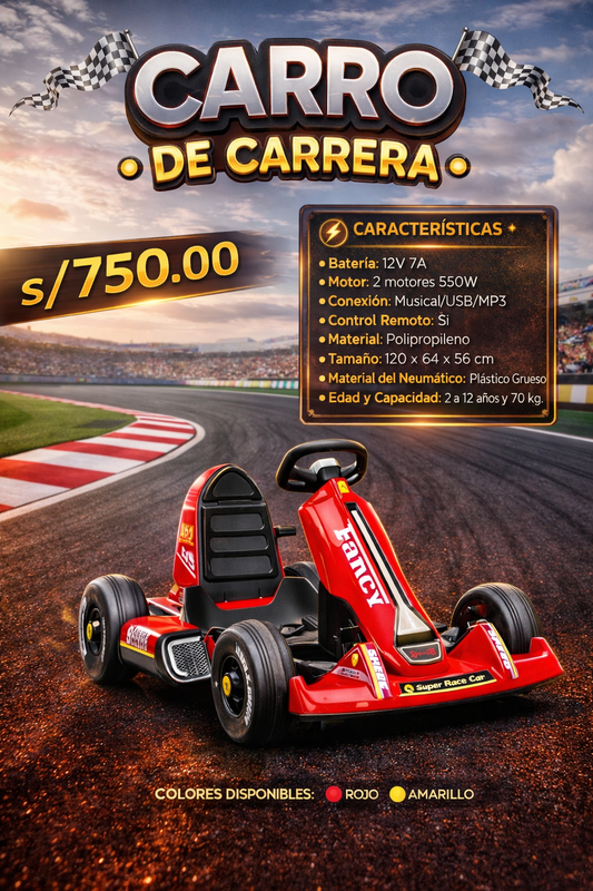 CARRO DE CARRERA